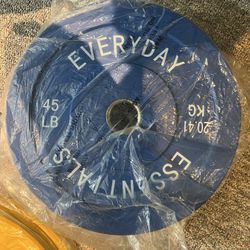 45 Pound Weight Plate Pair