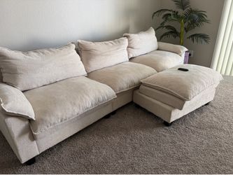 Beige Couches