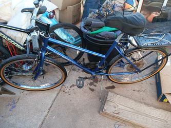 Woman's happy bicycle