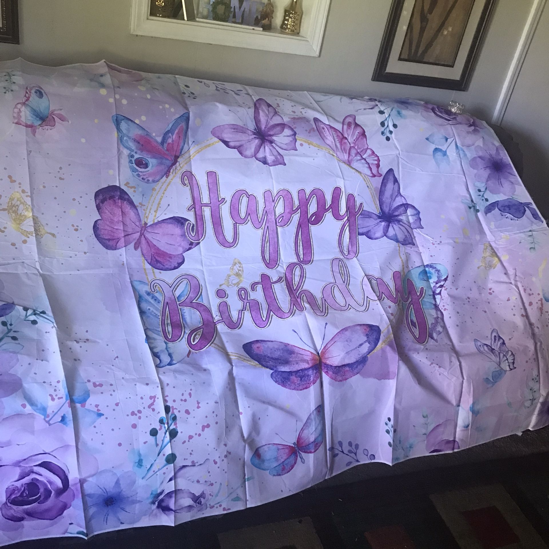 Butterfly Backdrop 5x7