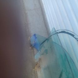 REAR back glass  and  pair of door glass.71 Camaro Coupe