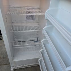 Upright Freezer 