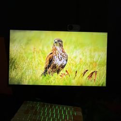 ASUS 300hz Monitor Gaming 