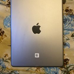 Apple ipad 5th generation 