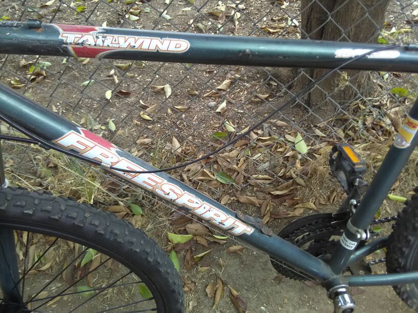 Free spirit tailwind bike discount