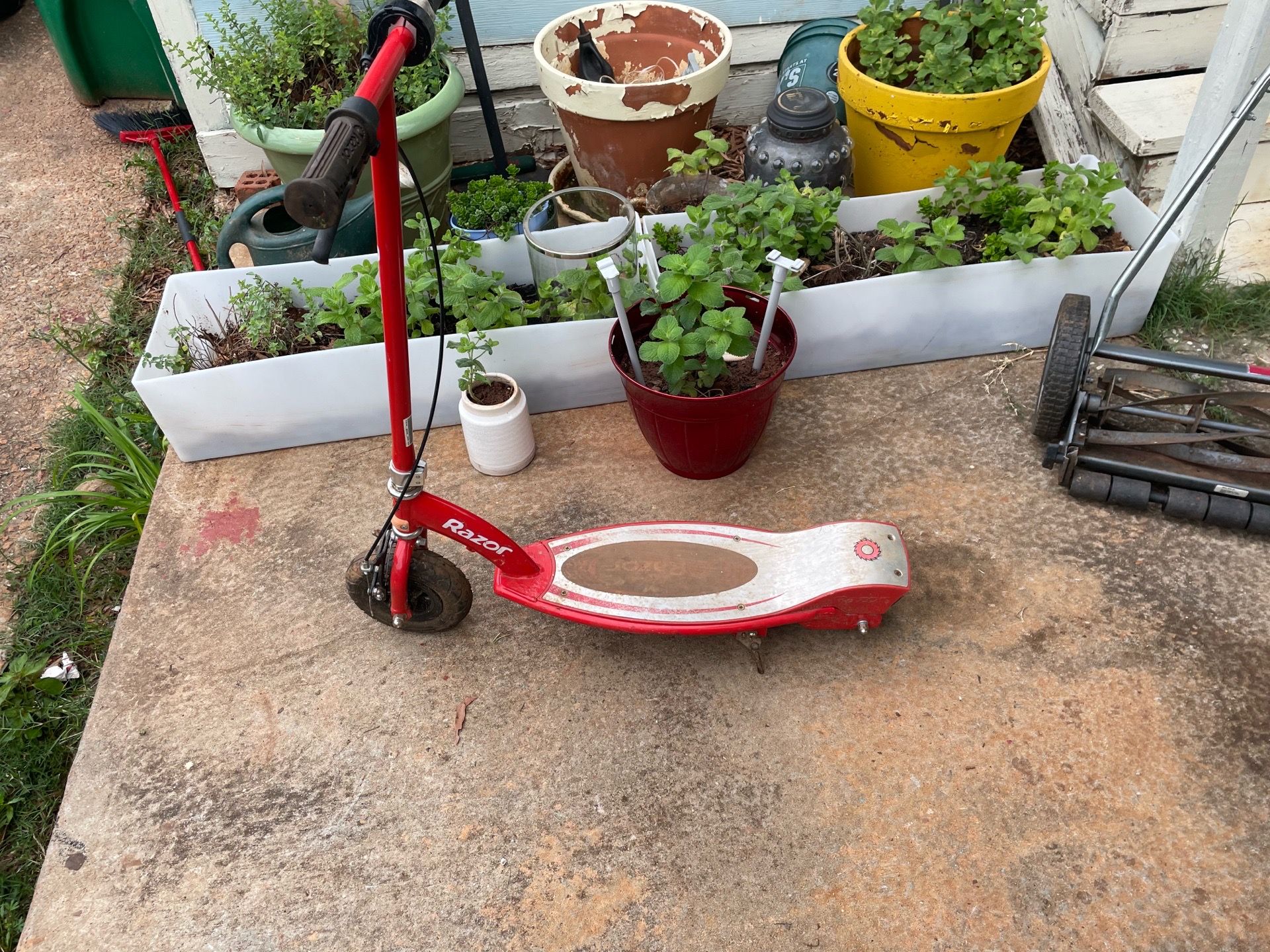 Razar Scoote with brake system