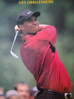 Tiger Woods Poster