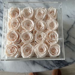 ROSAURA Preserved Roses in Acrylic Box – Eternal Roses – Luxury Decor 