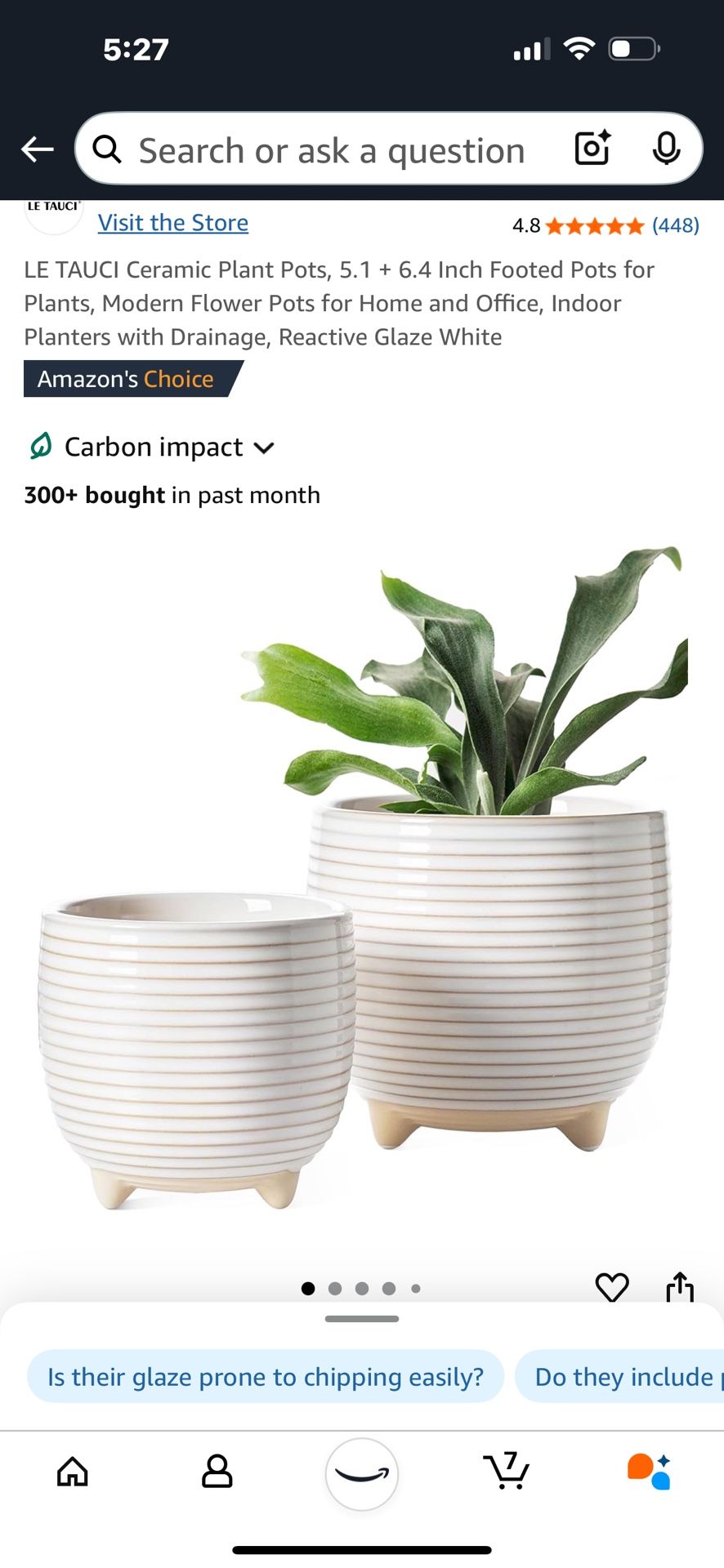Ceramic Plant Pots