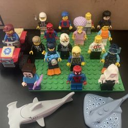 Random Lego Mini Figures