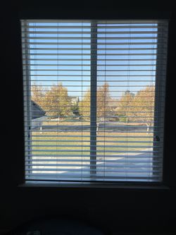 Blinds - Excellent Condition