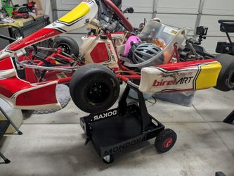 Birel Art LO206 READY TO RACE adult kart