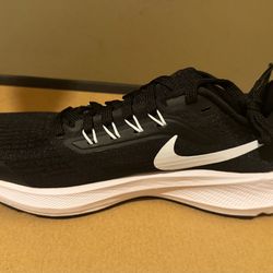 Nike air zoom Pegasus 39