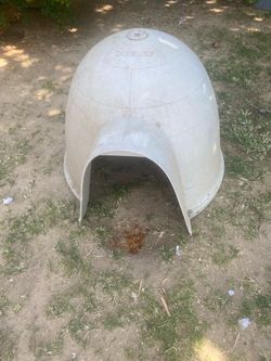 Dog igloo