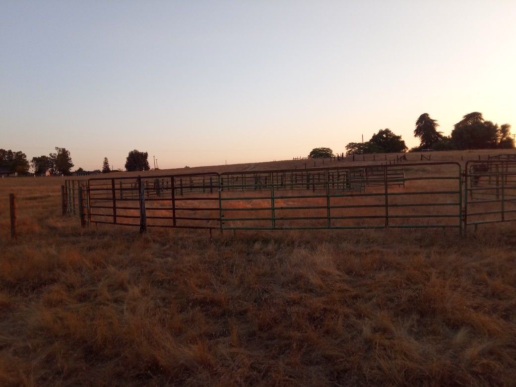 Livestock Fencing