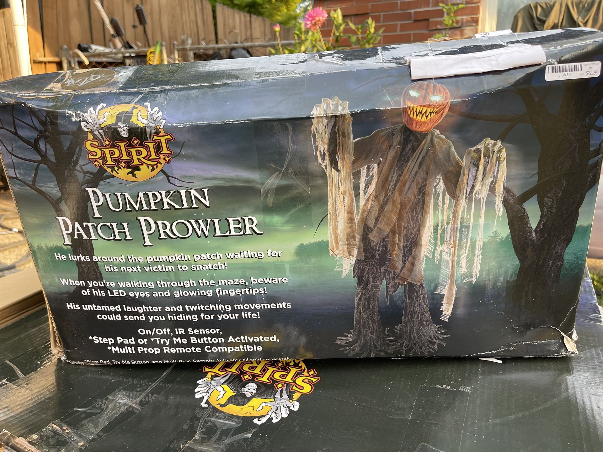 Halloween Pumpkin Patch Prowler for Sale in Edgewood, WA OfferUp