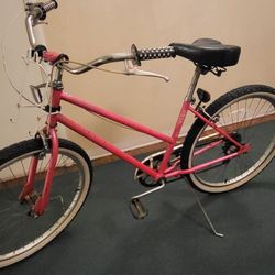 Fun Schwinn Cruiser