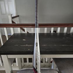 Louisville Slugger Bat