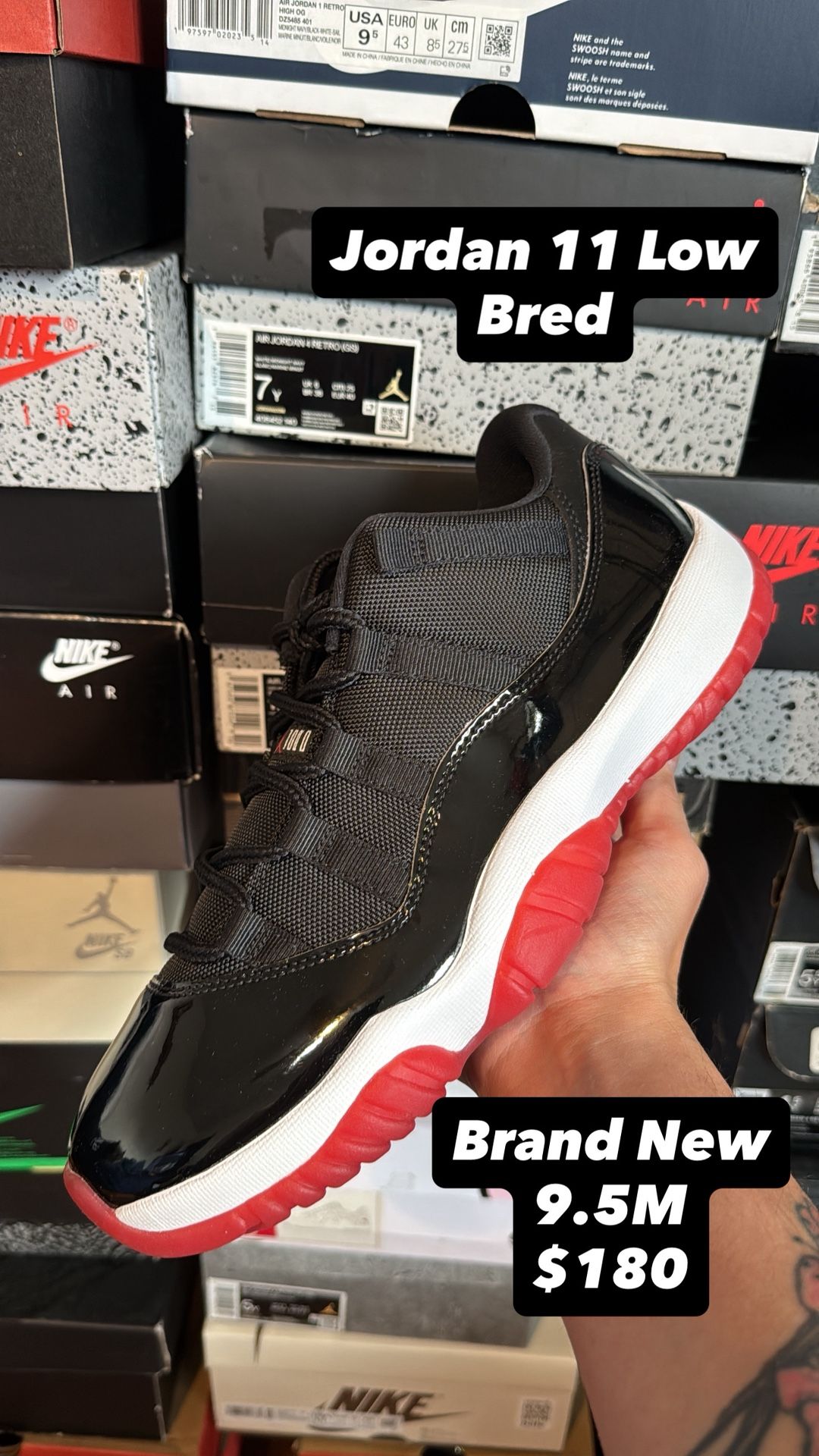 Jordan 11 Low Bred