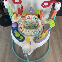 Fisher Price Baby Bouncer Jumperoo 