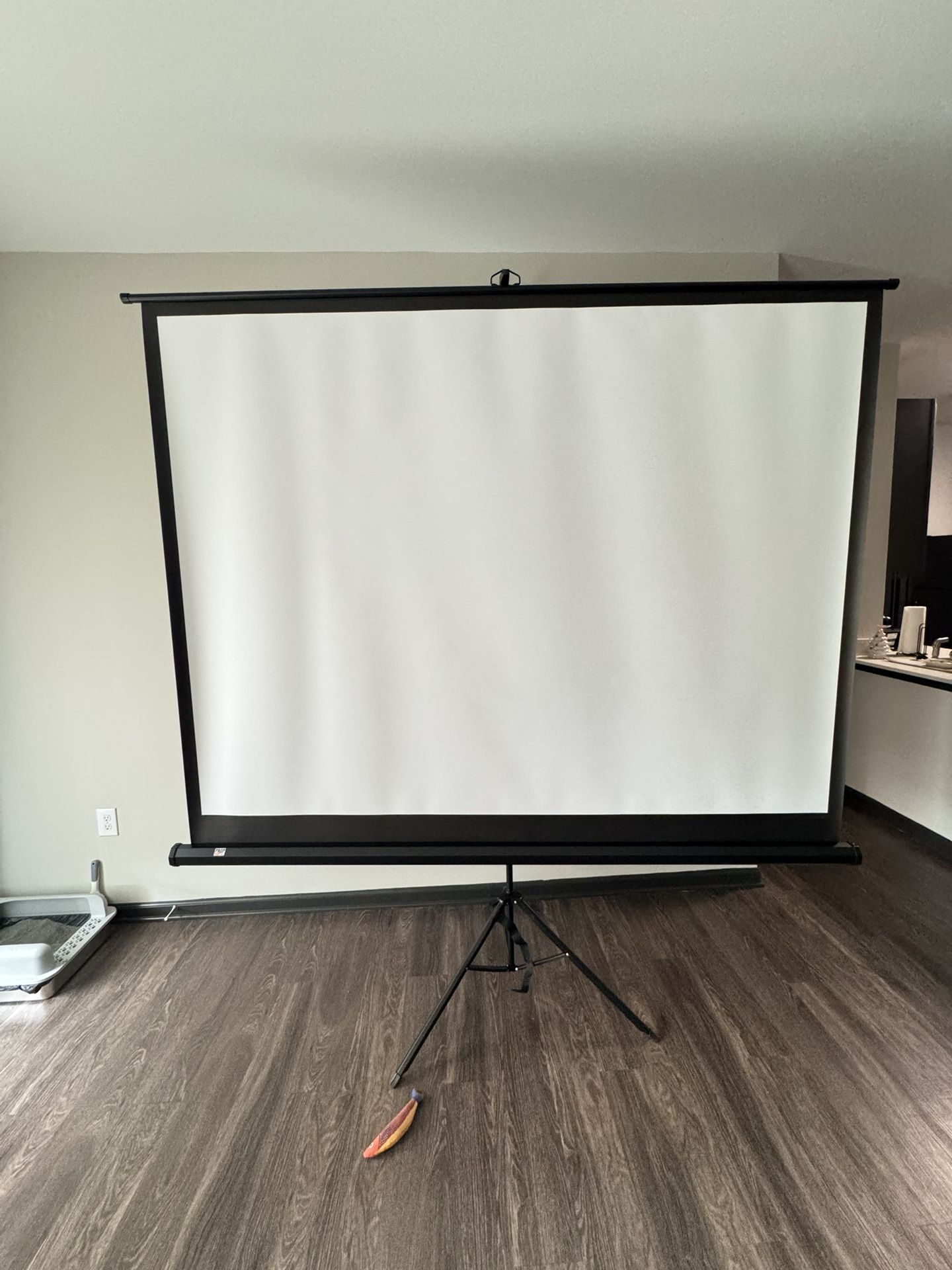 100” Projector Screen