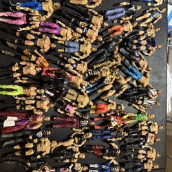 Wwe Action Figure lot
