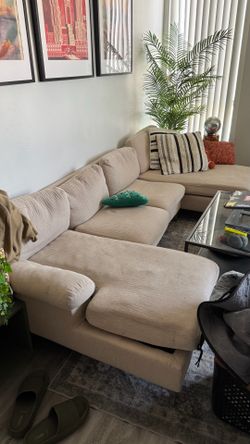 $80 Couch