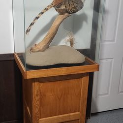 Pheasant Trophy