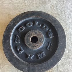 Vintage Golds Gym Standard Weights 