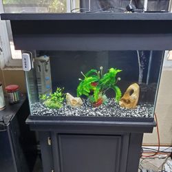 Aquarium Fish Tank