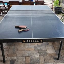 Ping Pong Table Model T8673