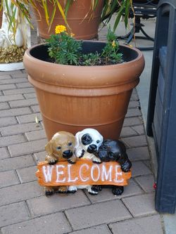 Welcome dogs