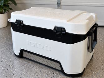 Igloo 24 Qt cooler