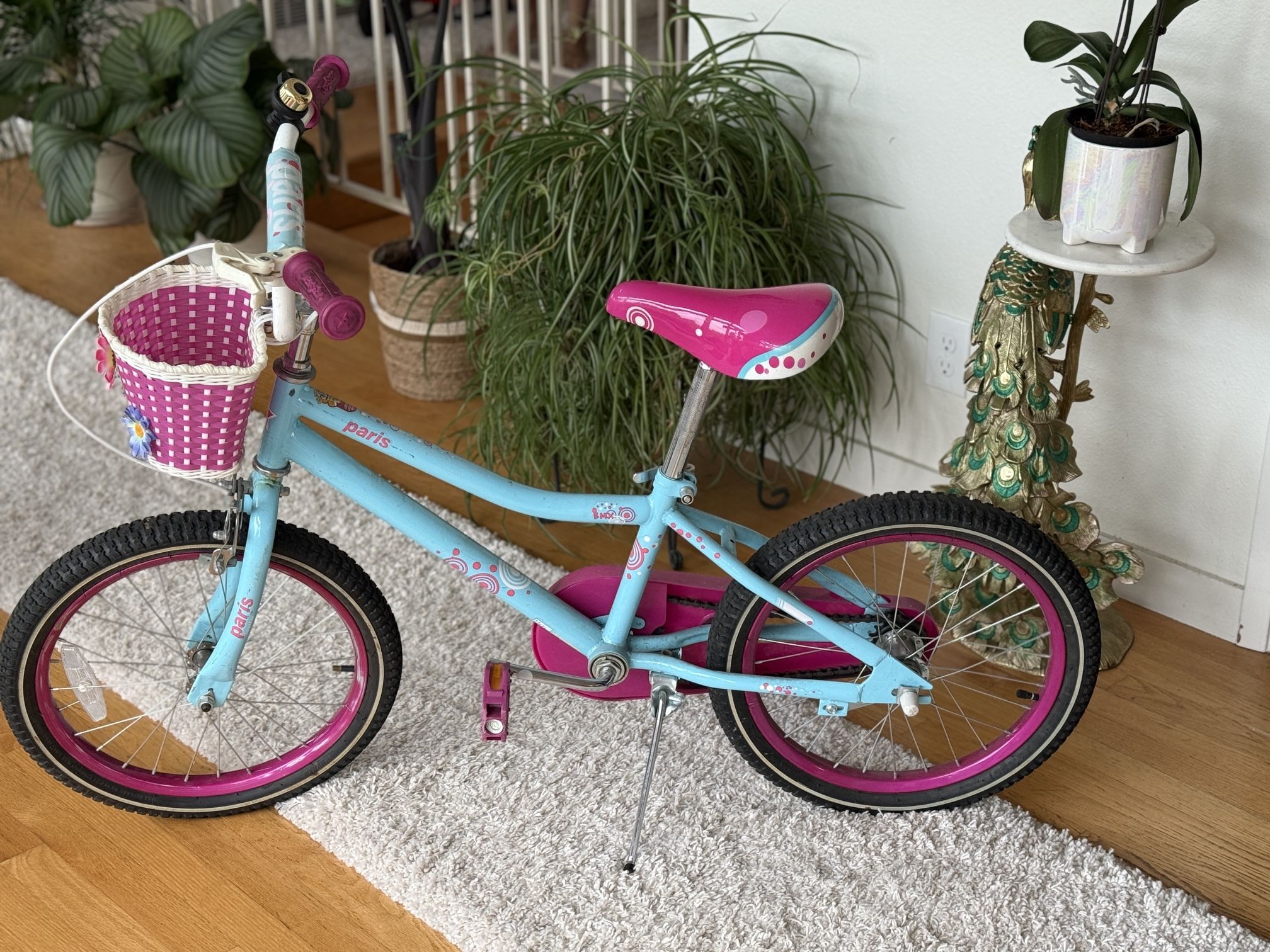 18 Inch Bike - joystar