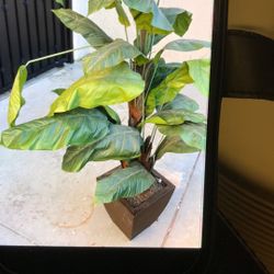 Large fake plant 
