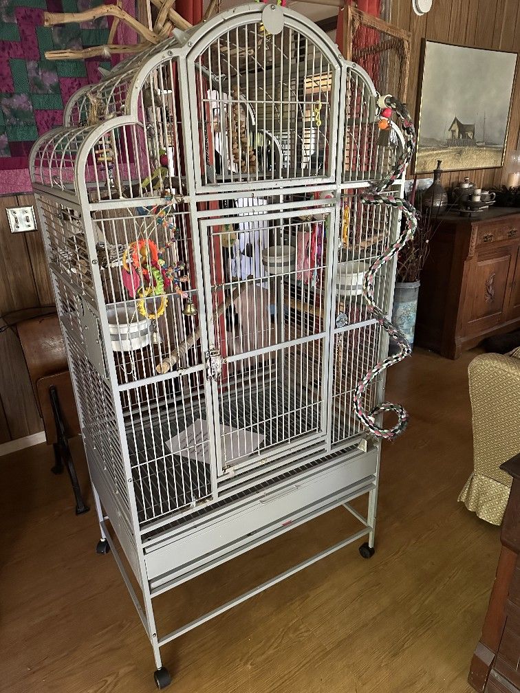 Large Birdcage.