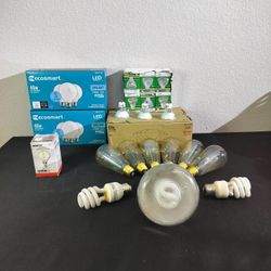 Variety Of Light Bulbs