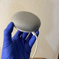 Google Home 1st Gen
