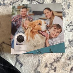 Smart Pan Tilt Camera 