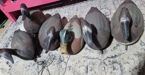6 Duck Decoys Hunt Bird Hunting Plastic Vintage? Mallard Ducks Carry Lite
