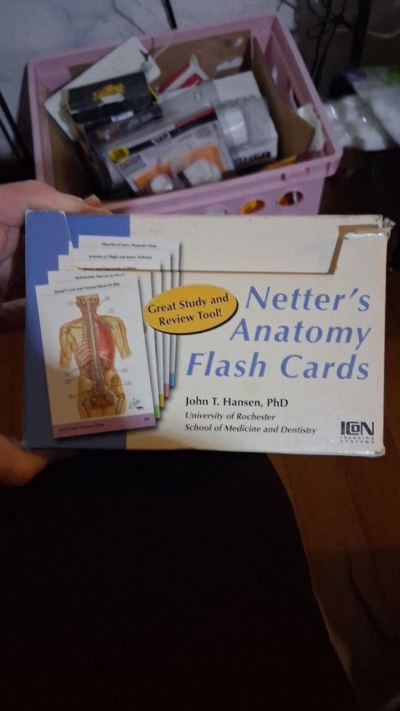 Anatomy Flash Cards