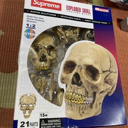 Supreme 4D Model Human Skull - Natural