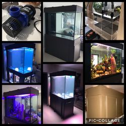 Fish Tank (Custom-Built)