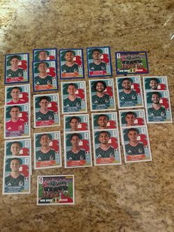 FIFA World Cup Panini Stickers