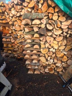 Seasoned Firewood