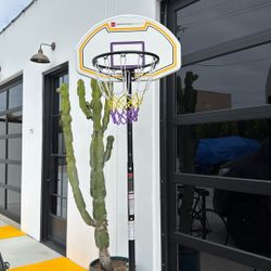 Basketball Hoop outdoor portable 