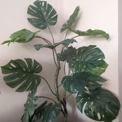 Faux Monstera Plant