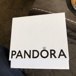 Pandora Teacher Charm With Bag
