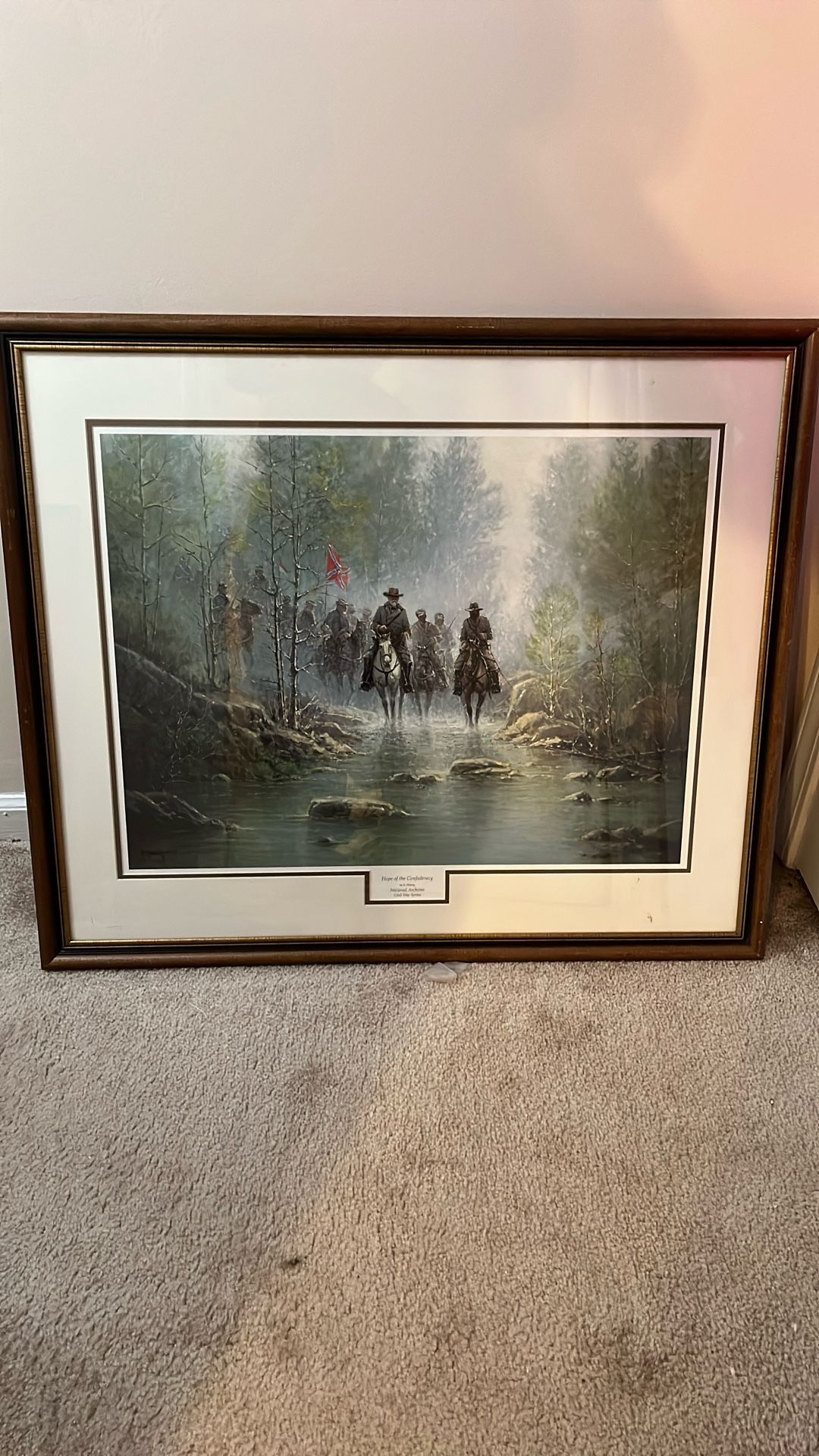 100 AUTHENTIC Hope Of The Confederacy By G Harvey national archives Civil War Series