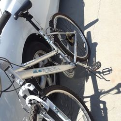 Get Fit, Beat Covidd Natureally